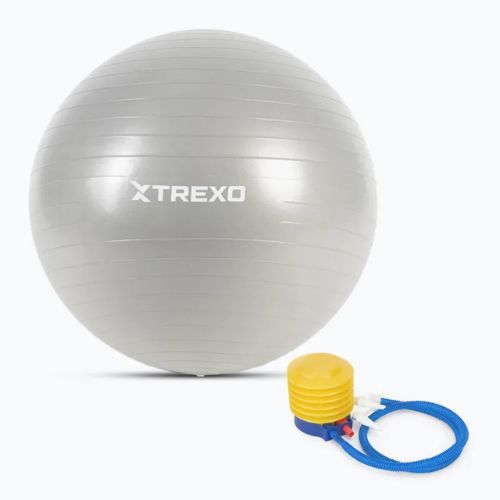 Minge de gimnastică TREXO TXO-B4Z008-GY 65 cm gri