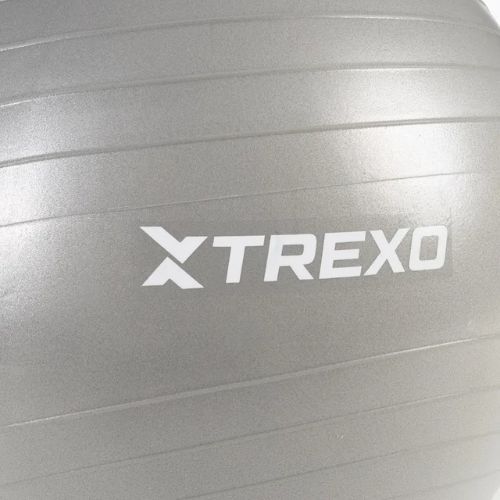 Minge de gimnastică TREXO TXO-B4Z008-GY 65 cm gri