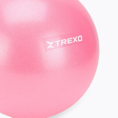 Mini minge de gimnastică TREXO TXO-B4Z010-PK 20 cm roz
