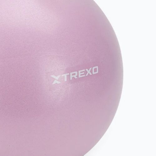 Mini minge de gimnastică TREXO TXO-B4Z011-VT 25 cm violet