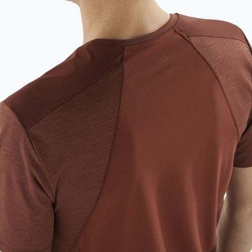 Tricou de trekking pentru bărbați Salomon Outline rum raisin