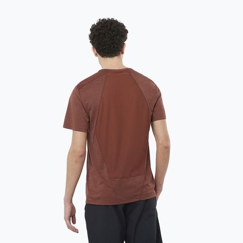 Tricou de trekking pentru bărbați Salomon Outline rum raisin