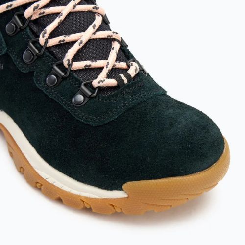 Cizme de trekking pentru femei Columbia Newton Ridge Plus WP Amped black/ blush rose