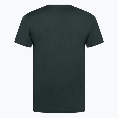 Tricou pentru bărbați Nike Fitness vintage green