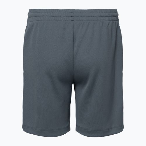 Pantaloni scurți pentru copii Nike Dri-Fit Multi smoke grey/white/white