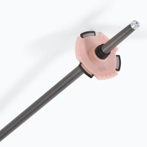 Bețe de schi Salomon Polar Pro rose gold