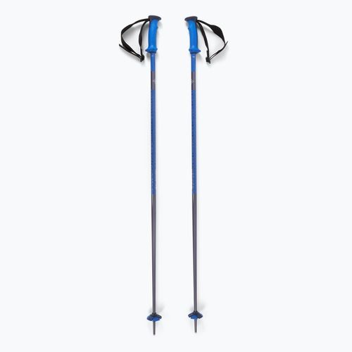 Bețe de schi Salomon Polar Pro race blue