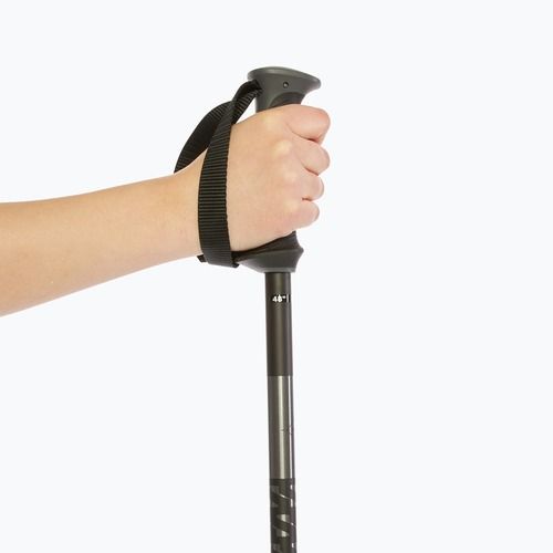 Bețe de schi Salomon Polar black