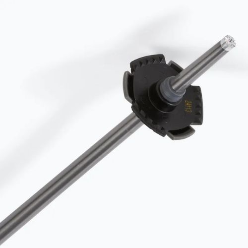 Bețe de schi Salomon Polar black