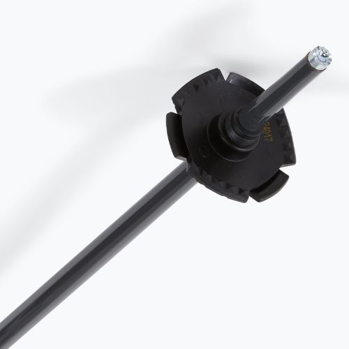 Bețe de schi Salomon Polar Access black