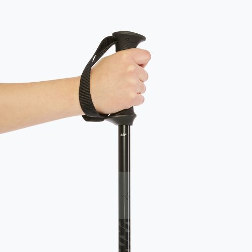 Bețe de schi Salomon Polar Access black