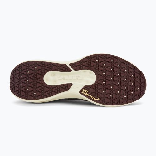 Încălțăminte de alergare pentru bărbați Nike Winflo 11 GORE-TEX light pumice/dk smokegrey/burgundycrush/ashenslate