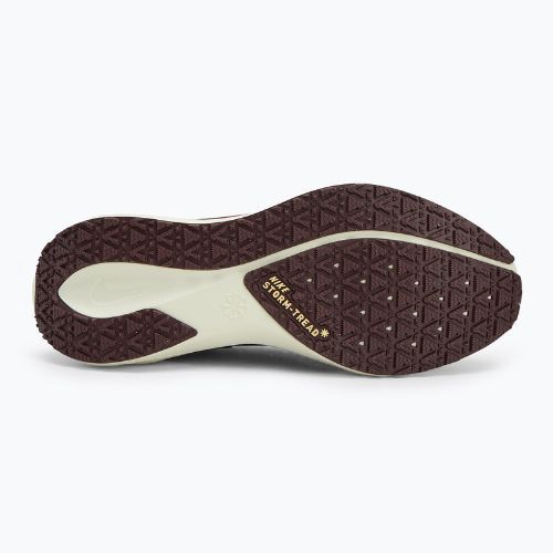 Nike Pegasus 41 GTX pantofi de alergare pentru bărbați light pumice/ burgundy crush/ dark smoke grey/ ashen slate