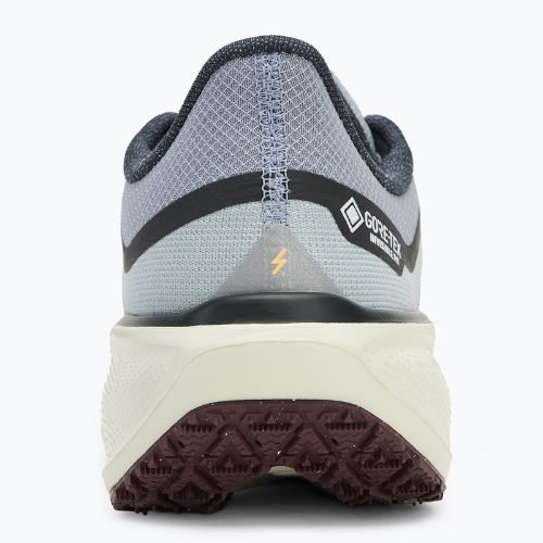 Nike Pegasus 41 GTX pantofi de alergare pentru bărbați light pumice/ burgundy crush/ dark smoke grey/ ashen slate