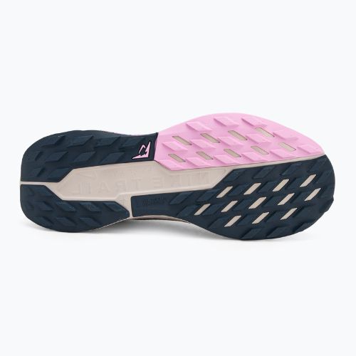 Nike Pegasus Trail 5 GTX pantofi de alergare pentru femei armory navy/ argintiu metalic