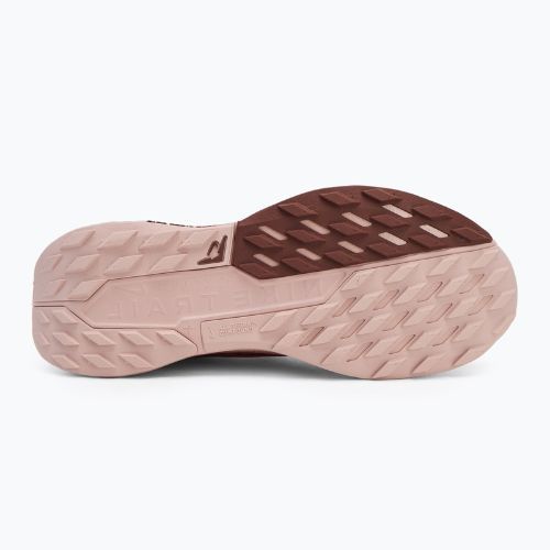 Nike Pegasus Trail 5 GTX pantofi de alergare pentru femei roz oxford/ roșu stardust/ roșu sepia