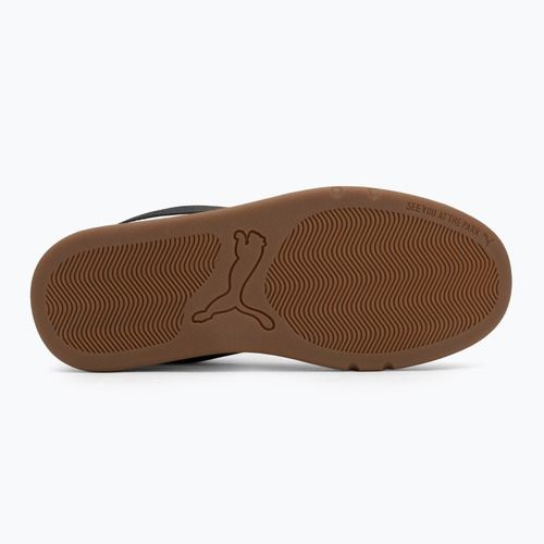Încălțăminte pentru bărbați  PUMA Park Lifestyle SK8 puma white/puma black/feather gra