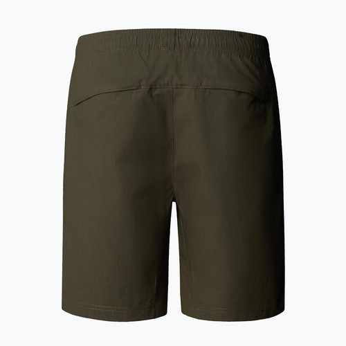 Pantaloni scurți pentru bărbați The North Face Limestone new taupe green