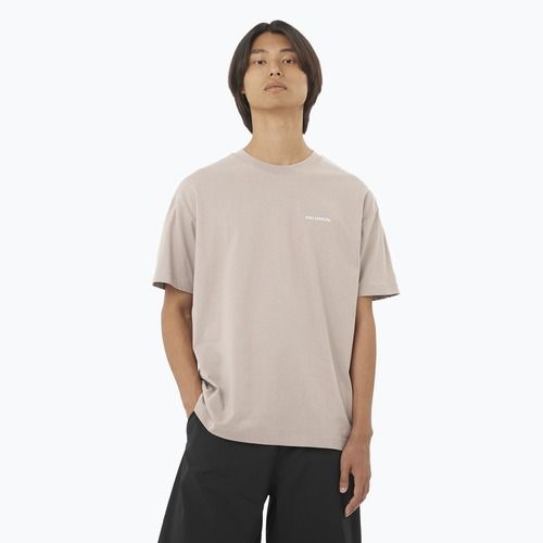 Tricou pentru bărbați  Salomon Logo RX Tee etherea