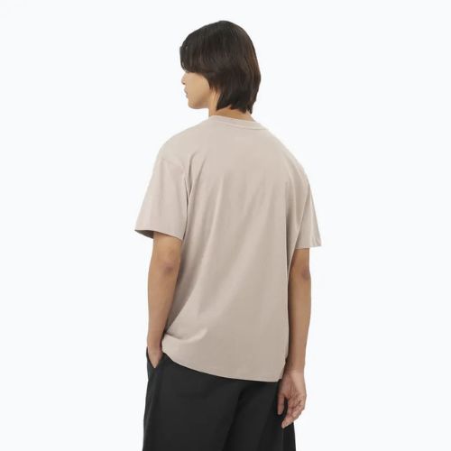 Tricou pentru bărbați  Salomon Logo RX Tee etherea