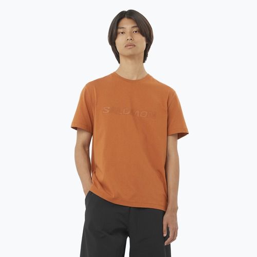 Tricou pentru bărbați Salomon Big Logo Tee sierra