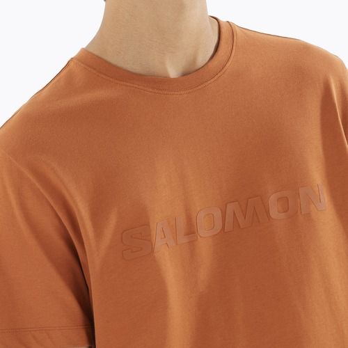 Tricou pentru bărbați Salomon Big Logo Tee sierra