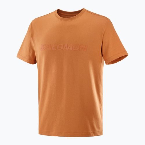 Tricou pentru bărbați Salomon Big Logo Tee sierra