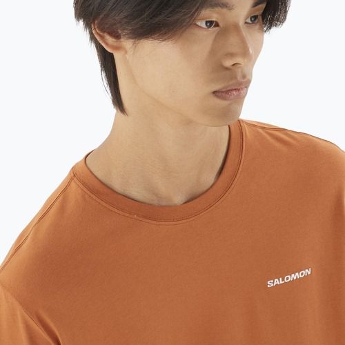 Tricou pentru bărbați  Salomon Logo Tee sierra