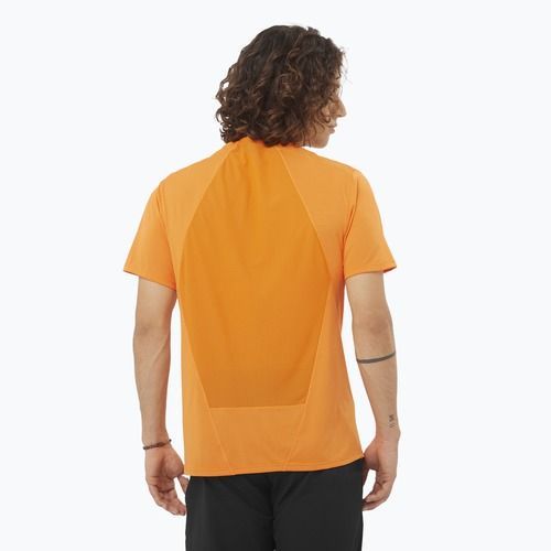 Tricou pentru bărbați Salomon Outline Tee turmeric