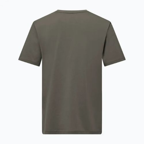 Tricou pentru bărbați Salewa Eagle Logo Patch 5A50 faded green