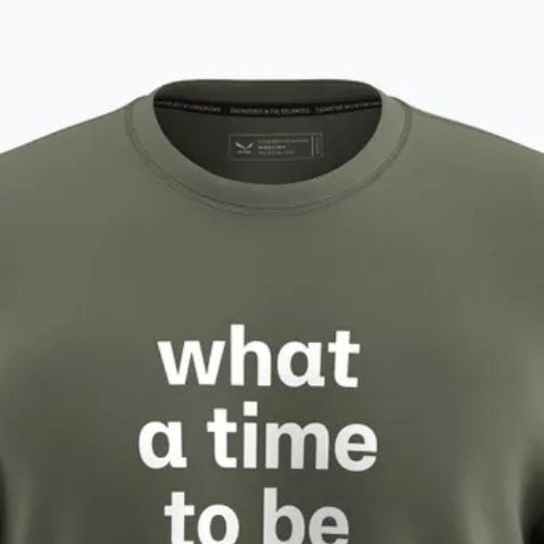 Bărbați Salewa Eagle Outside Loose verde decolorat T-shirt
