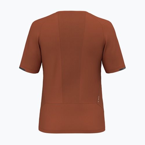 Tricou de trekking pentru bărbați Salewa Pedroc Dry Hyb bombay brown