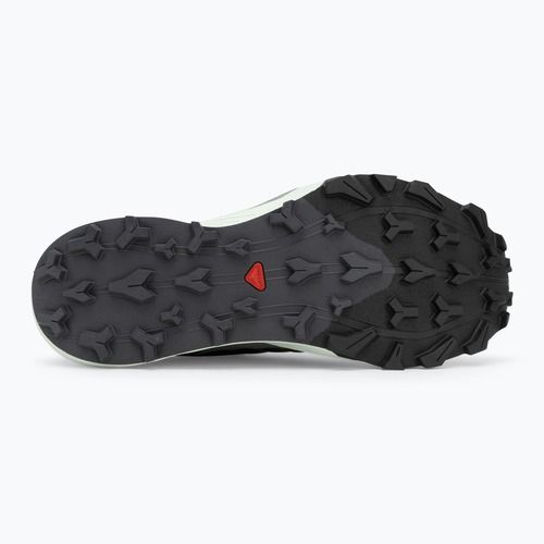 Încălțăminte de alergare pentru bărbați Salomon Thundercross asphalt/sharkskin/spray