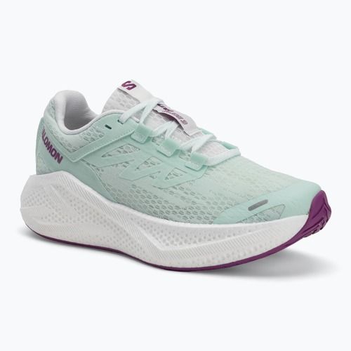 Încălțăminte de alergare pentru femei Salomon Aero Glide 3 bay/white/wilowherb