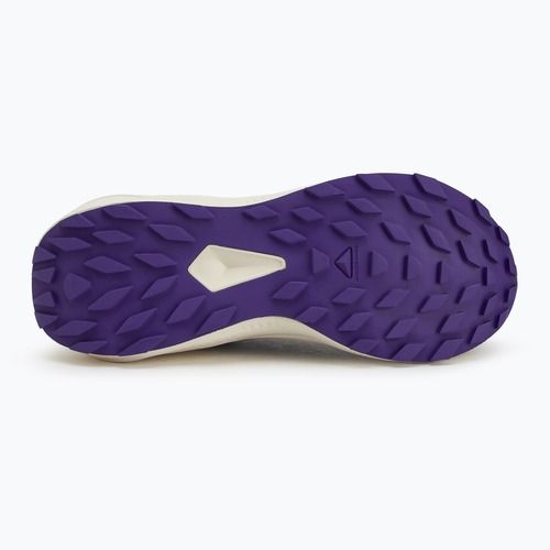 Încălțăminte de alergare pentru femei Salomon Alphaglide phantom/vanilla ice/liberty