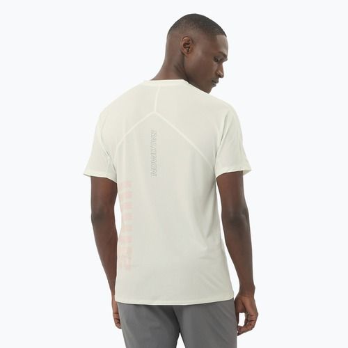 Tricou de alergare pentru bărbați Salomon Sense Aero Tee GFX icicle/neon flame