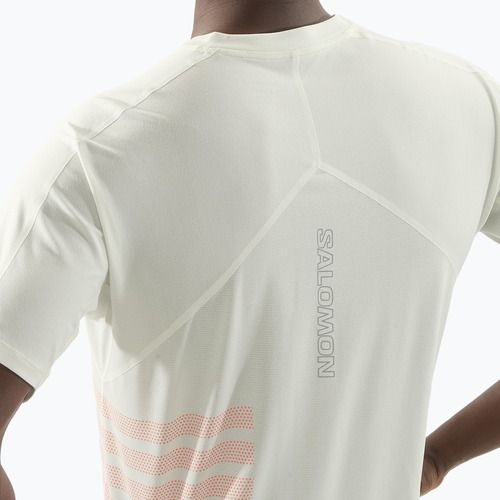 Tricou de alergare pentru bărbați Salomon Sense Aero Tee GFX icicle/neon flame