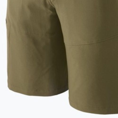 Pantaloni scurți pentru bărbați Patagonia Terravia Trail 10" tent green