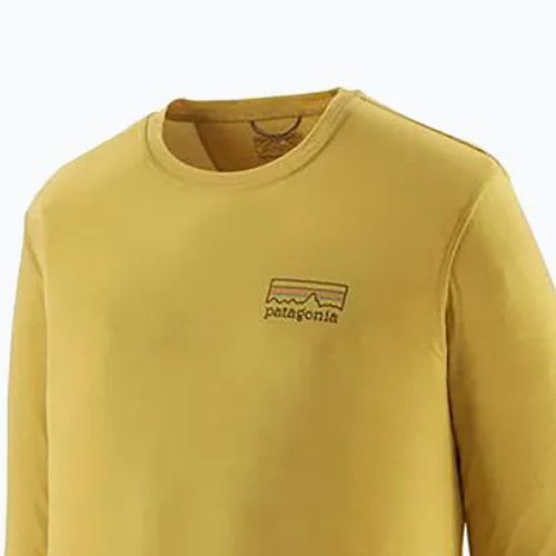 Longsleeve pentru bărbați Patagonia Cap Cool Merino Blend Graphic fitz roy strata/bundle green