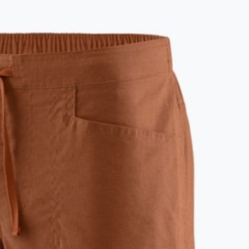 Pantaloni scurți pentru bărbați Patagonia Hampi Rock robin brown