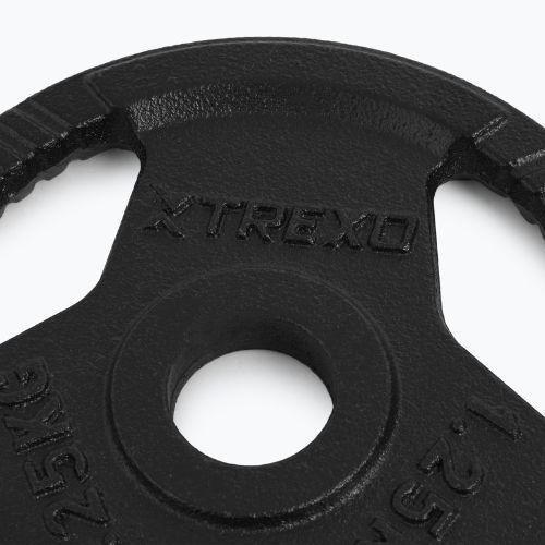 Greutate din fontă XTREXO TRX-ICP001 1,25 kg crom