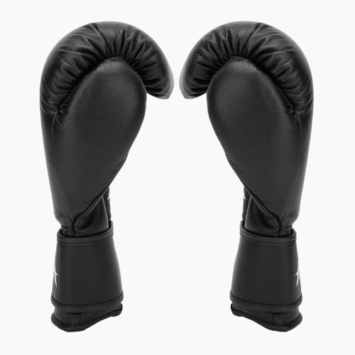 Mănuși de box  HOOK FIGHTING Ready to Fight piele negru