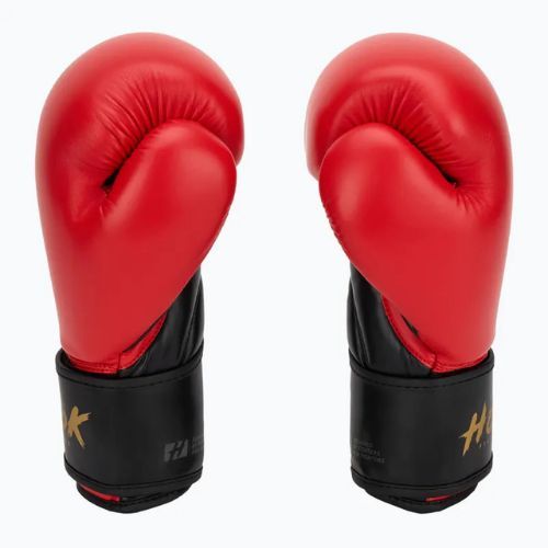 Mănuși de box HOOK FIGHTING Ready To Train roșu