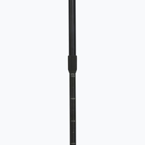 Bețe nordic walking Fizan Smu Active black