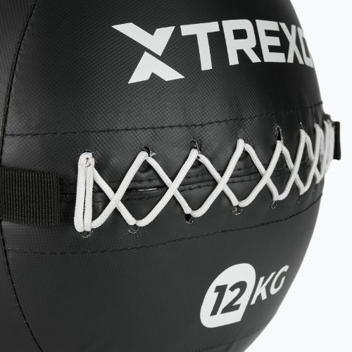 Minge medicinală TREXO Wall Ball 12 kg negru