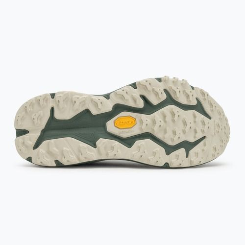 Încălțăminte de alergare pentru bărbați HOKA Speedgoat 6 GTX sea flass/fern