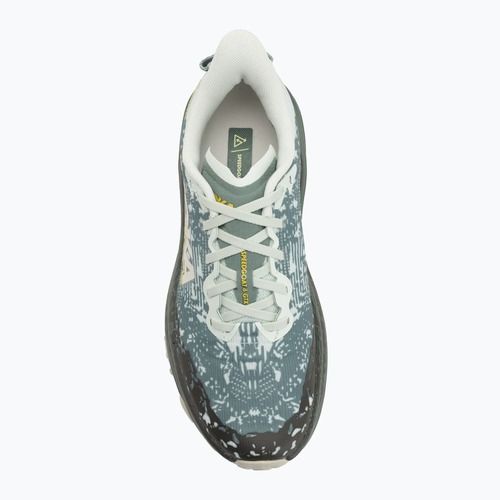 Încălțăminte de alergare pentru bărbați HOKA Speedgoat 6 GTX sea flass/fern
