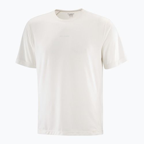 Tricou pentru bărbați  Salomon Shakeout Core whisper white