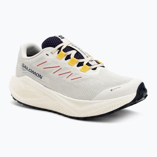 Încălțăminte de alergare pentru bărbați Salomon Aero Blaze 3 Gravel GTX vanilla ice/astral aura/lemon