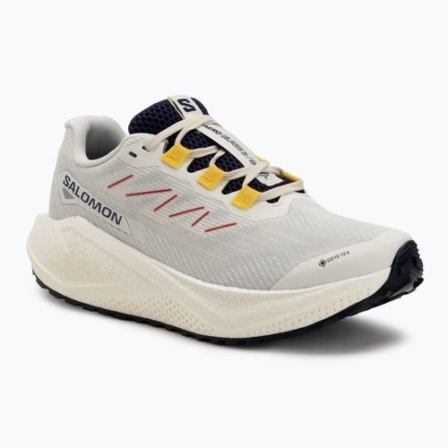 Încălțăminte de alergare pentru femei Salomon Aero Blaze 3 Gravel GTX vanilla ice/astral aura/lemon